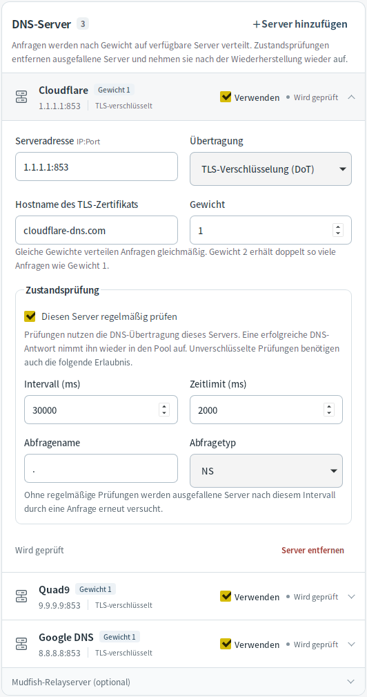 DNS-Servereinstellungen — Mudfish DNS 0.1.3 (Linux)