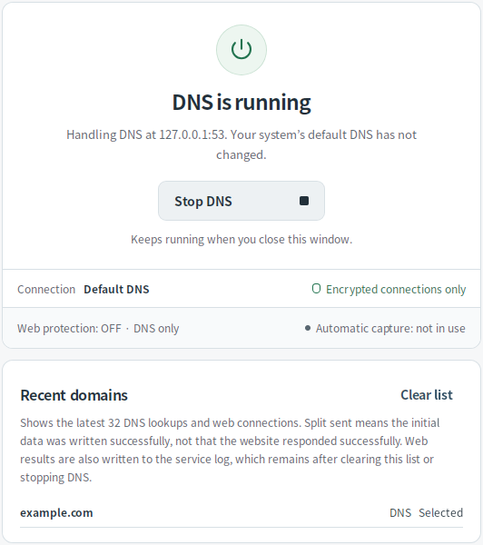 Recent DNS queries — Mudfish DNS 0.1.3 (Linux)