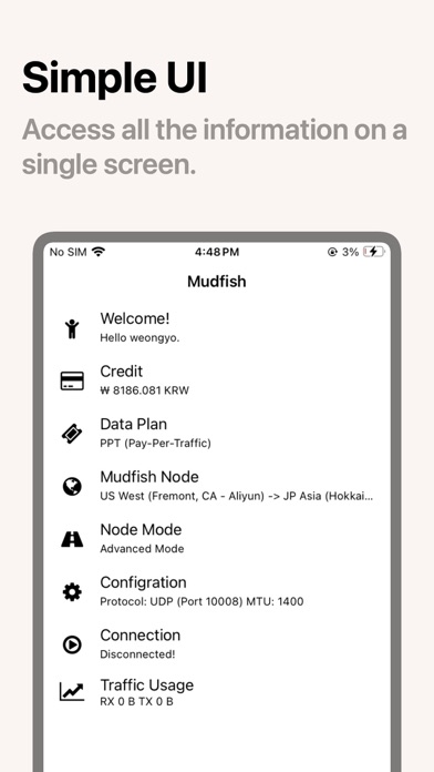 Mudfish iOS dashboard showing Node Mode and Traffic Usage