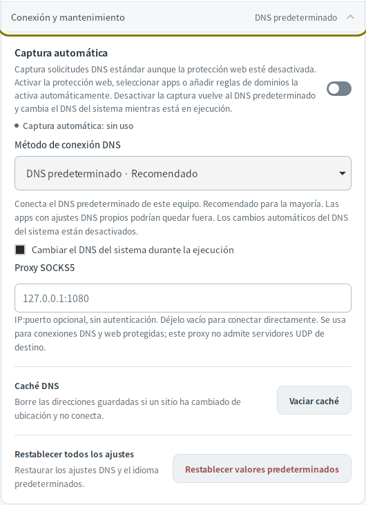 Configuración de conexión DNS — Mudfish DNS 0.1.3 (Linux)