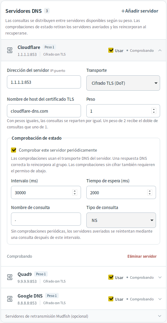 Configuración del servidor DNS — Mudfish DNS 0.1.3 (Linux)