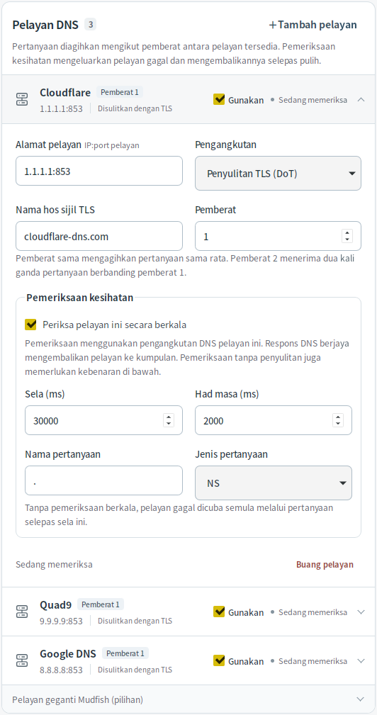 Tetapan pelayan DNS — Mudfish DNS 0.1.3 (Linux)