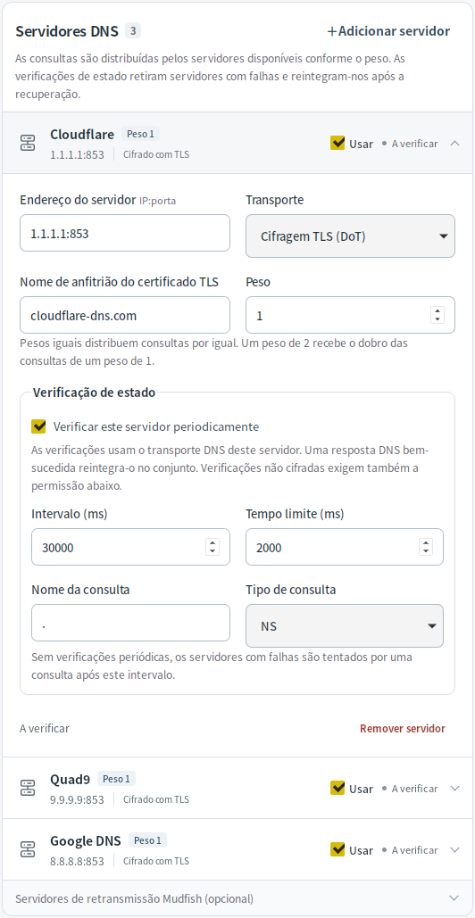 Definições dos servidores DNS — Mudfish DNS 0.1.3 (Linux)