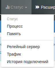 История подключений в Mudfish v4