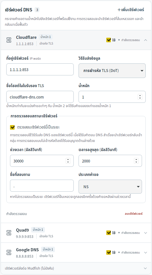 การตั้งค่าเซิร์ฟเวอร์ DNS — Mudfish DNS 0.1.3 (Linux)